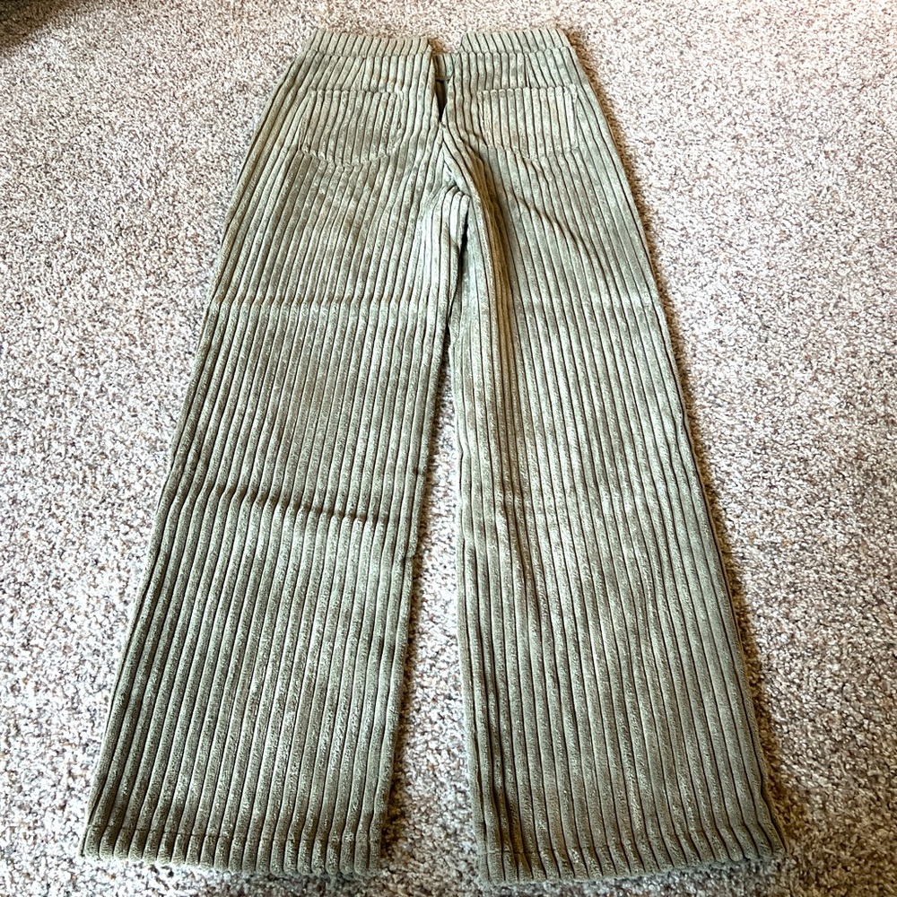 Lane 201 Velvet Flare Pants in Sage Green